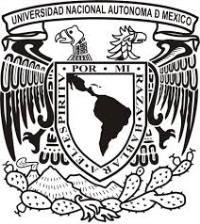 UNIVERSIDAD NACIONAL AUTÓNOMA DE MÉXICO Facultad de Ciencias Políticas y Sociales Plan de Estudios de la Licenciatura en Ciencias de la Comunicación Análisis de las organizaciones públicas Clave