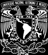 UNIVERSIDAD NACIONAL AUTONOMA DE MEXICO DIVISION DE ESTUDIOS DE POSTGRADO FACULTAD DE MEDICINA INSTITUTO MEXICANO DEL SEGURO SOCIAL DELEGACION SUR DEL