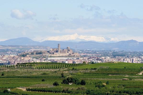 La ciutat de Lleida Lleida és una ciutat dinàmica, culturalment activa, ben comunicada i situada en un entorn mediambiental i territorial únic.