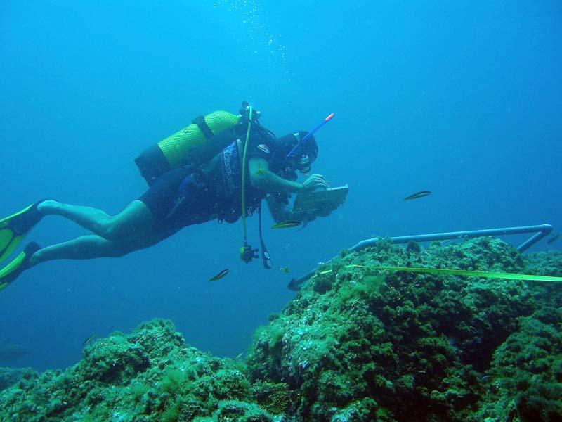 Daños debidos a las actividades recreativas: submarinismo Reserva