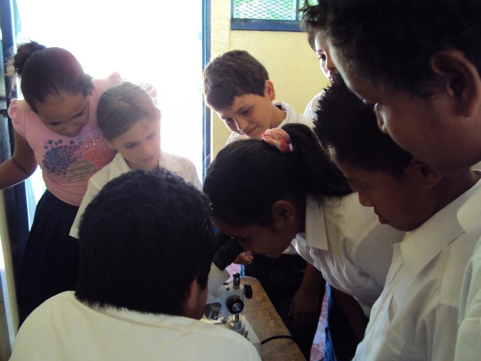 Figura 42. Observación al estereoscopio de los estudiantes de la Escuela Gil Tablada Corea, El Jobo, Guanacaste.