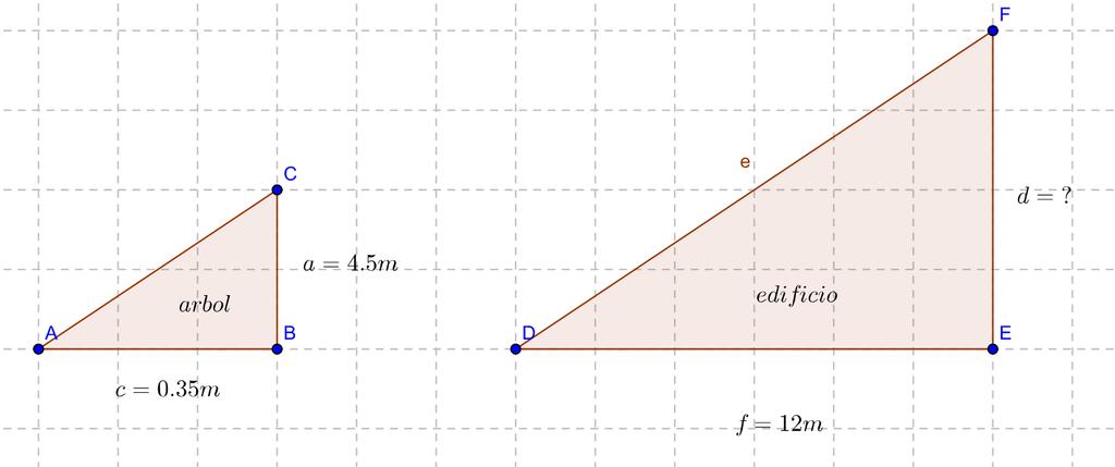 5. Gráficamente la situación es la siguiente: dib2x0.25 p Tenemos dos triángulos rectángulos con un ángulo agudo igual, Â D, pues estamos hablando de sombras a la misma hora del día.