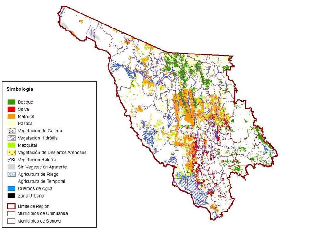 Figura 1-188 Áreas de atención forestal por municipio en
