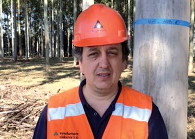 FORESTAL editorial en contexto silvicultura industria economía logística ambiente pasó y pasará Gentileza: Weyerhaeuser ALBERTO RODRÍGUEZ Gerente general de Grupo Forestal.