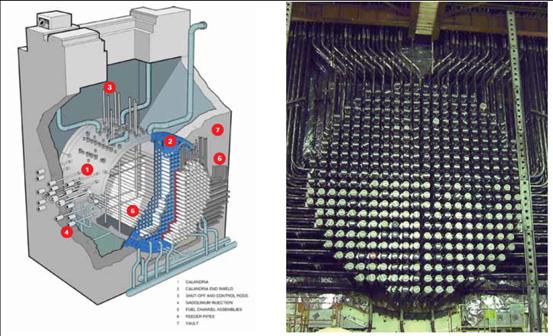 seleccionado Diagrama de funcionamiento de un reactor tipo CANDU Esquema del Reactor PLAN Alimentación de los tubos de