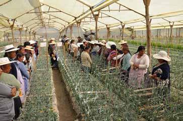 2 de 7 2/Dic/214 1 Difusión del Proyecto Flores a Floricultoras de la comunidad de Tirani El Consejo