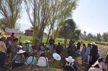 clavel en tres municipios del Valle Central de Cochabamba gestionó el 16 de junio la visita de un grupo de