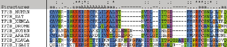Selección de marcadores adecuados para hacer inferencias evolutivas a distintos niveles de profundidad filogenética tasas de evolución de tres proteínas en sustituciones/sitio/my Restricciones