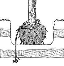 2 - Clavar el tubo con un martillo unos 80 cm con un angulo de 50.