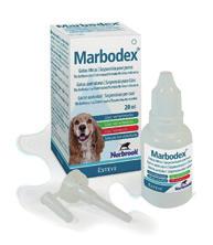 Tratamiento de elección en otitis por bacterias Gram (-) y purulentas en perros Marbodex Pseudomonas spp puede estar presente en un 15-20% de las otitis caninas Las QUINOLONAS son un tratamiento de