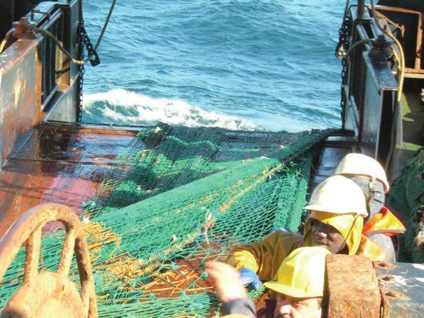 El proyecto PESCAL (Pesca Sostenible en Caladeros Limpios) puso en práctica tres acciones