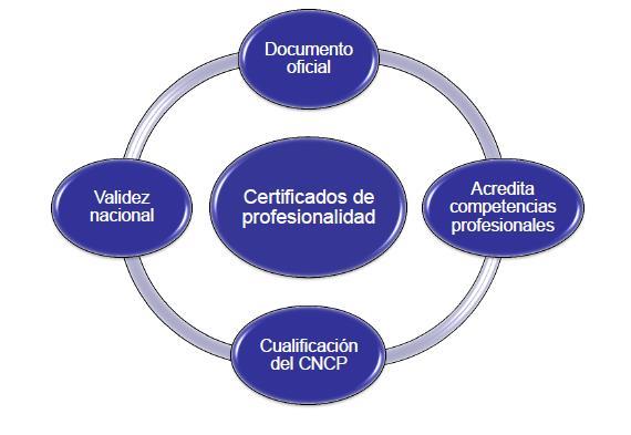 Aspectos generales de los Certificados de Profesionalidad Posibles vías obtención: FP para el Empleo FP Sistema Educativo Acreditación 26 familias profesionales incluidas en el CNCP Niveles de