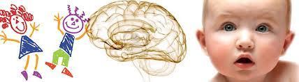 Ciencia que estudia las relaciones entre el cerebro, la conducta y el