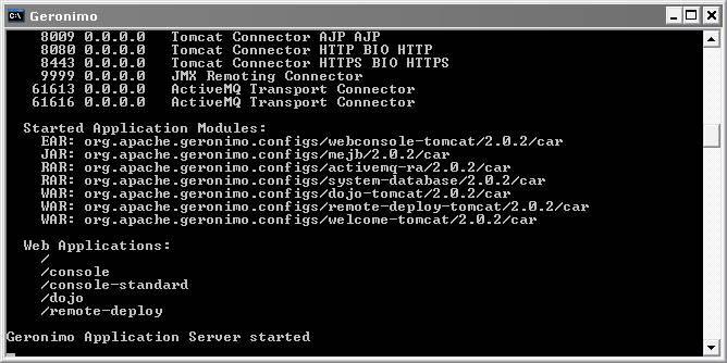 Page 3 of 13 Para parar el servidor ejecutamos el archivo GERONIMO_HOME/bin/shutdown.