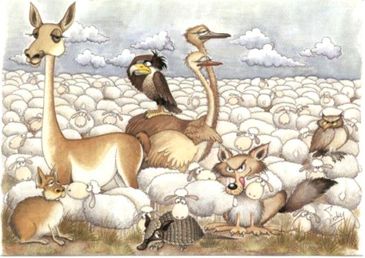 Un poco de historia (Crónica de un conflicto anunciado ) Los ovinos fueron introducidos en Patagonia allá por el año 1876 cuando arriban los primeros ejemplares desde las Islas Malvinas hacia Santa