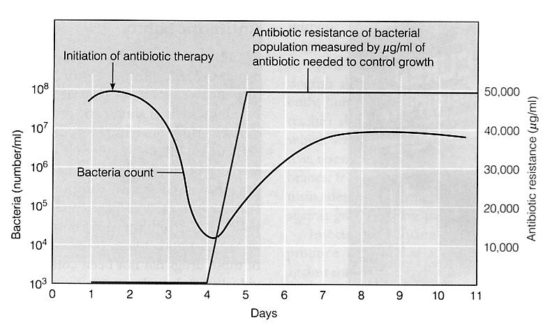 Mecanismos de Resistencia: como se defienden las bacterias Modificación química del antibiótico: Ej ß-lactamasas, CAT Modificación de la molécula blanco: Ej Eritromicina,