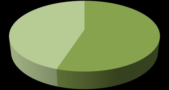 Género de los visitantes 45% 55% Masculino Femenimo Fig. 4.21.