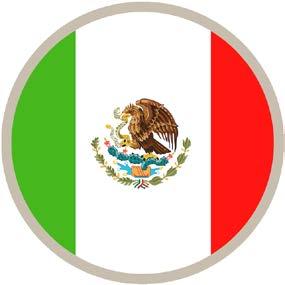 BEPS en México Dentro del ámbito nacional, México es considerado pionero en la implementación de las acciones BEPS en su marco normativo, por lo que varias de sus acciones ya se encuentran incluidas