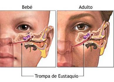 fisuras labiopalatinas etapa faringea reflujo nasal: paso