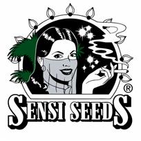 Nuevas Variedades Feminizadas Sensi Nueva gama de semillas feminizadas Sensi Seeds de la más alta calidad Después de años de una cuidada selección,