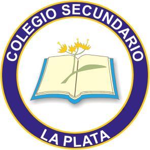 Colegio Secundario La Plata Educar para un mundo mejor PLANIFICACIÓN ANUAL 2013 Orientación en Ciencias