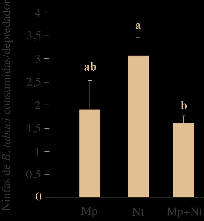Capítulo 2. Resultados depredadores juntos) (F = 4,57; gl = 2; p = 0,026). Sin embargo, no se encontró relación con la presa ofrecida (ninfas de B. tabaci sin parasitar, o ninfas de B.