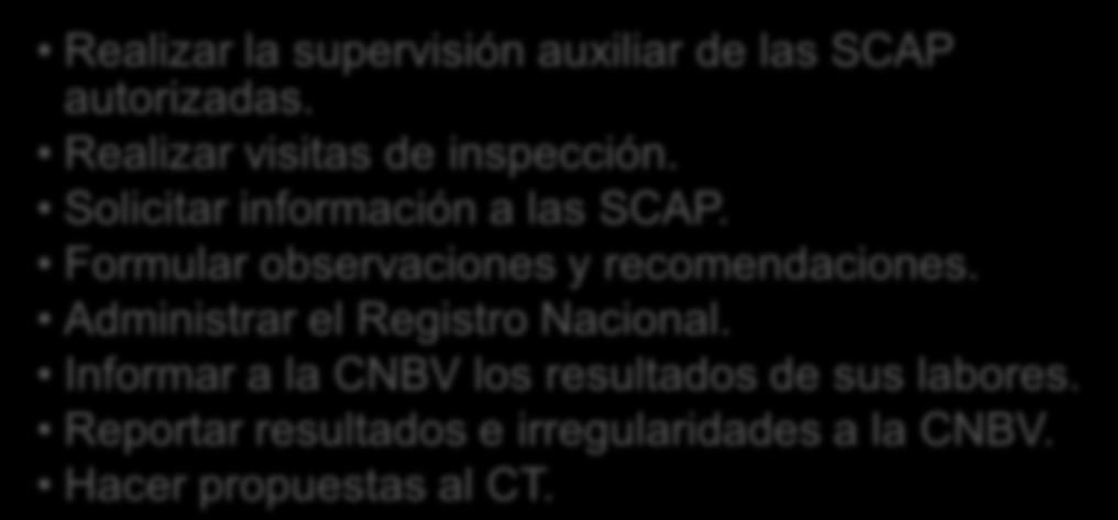 Informar a la CNBV los resultados de sus labores. Reportar resultados e irregularidades a la CNBV. Hacer propuestas al CT.