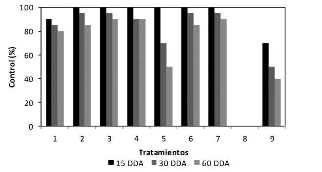 Figura 13. Control de malezas a los 15, 30 y 60 DDA. Resultados Los mejores resultados de control a los 60 DDA, se obtuvieron con los tratamientos 2, 3, 4 y 7 con porcentajes cercanos al 90%.