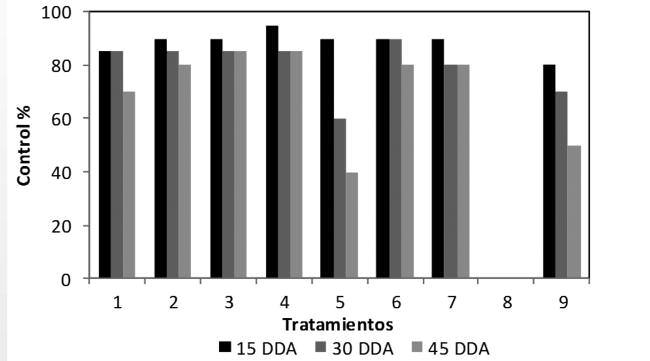 Figura 14. Control de malezas a los 15, 30 y 45 DDA. 8. Control de Amaranthus palmeri en Pre-Emergencia en el cultivo de soja.