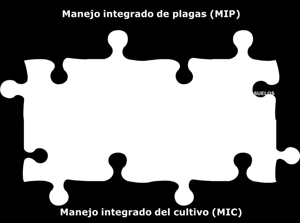 Figura 2. Estrategias del manejo de plagas en el cultivo de la caña de azúcar. Elaborado por JD Salazar. 1) Control biológico.