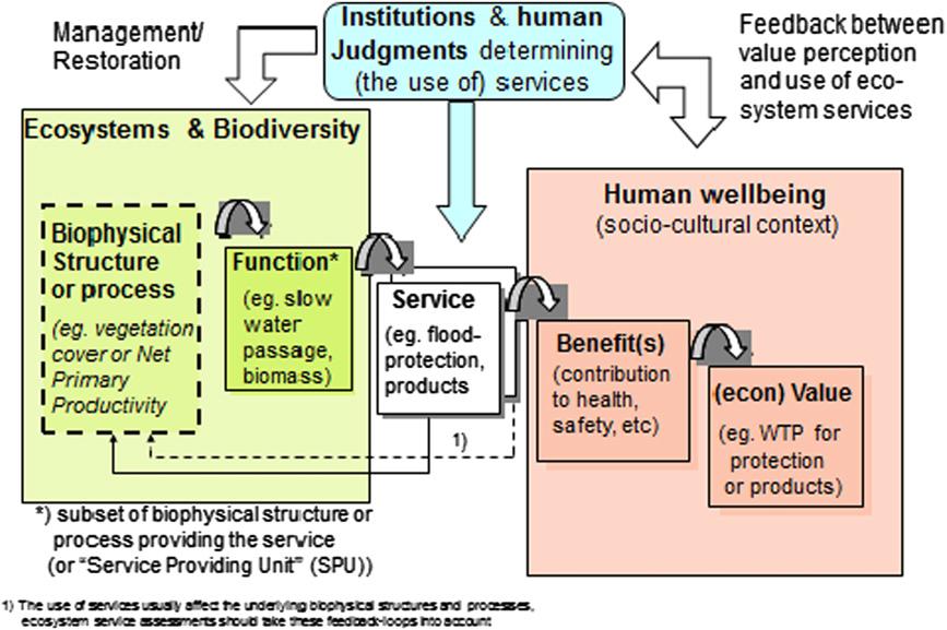 Gobernanza mundial 2008 2010 La Economía de los Ecosistemas y la Biodiversidad (TEEB 2010).