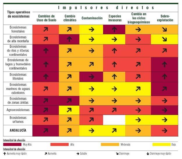 Evaluación de los Ecosistemas del Milenio en Andalucía 2010 2012 Identificación de los principales impulsores (6) del cambio en los ecosistemas (9) durante los últimos 60 años.