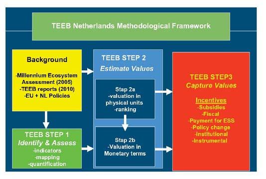 Agenda para aplicar el método TEEB Paso 3 Captar los valores para una sociedad sostenible Subsidios e incentivos fiscales. Pago por los servicios ecosistémicos. Certificación ecológica.