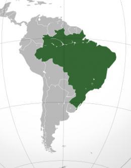 Mercado Regional Para ver la importancia de Brasil