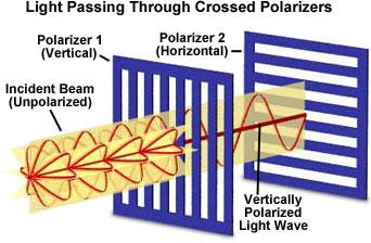 Mecanismos de Polarización: Partiendo de luz no polarizada, existen distintos fenómenos que dan lugar a la emergencia de luz polarizada: Polarización por absorción Polarización por reflexión