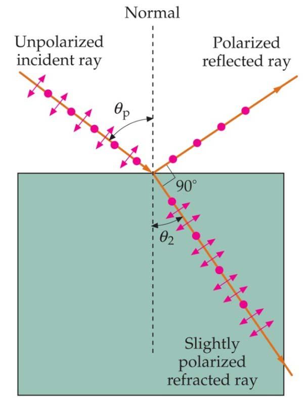 Polarización por reflexión: Cuando la luz no polarizada incide en la superficie de separación de dos medios (no metálicos), la luz reflejada está parcialmente polarizada.