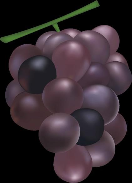 Elaboración o realización de alguna de estas actividades: - Elaborar roscos de vino. - El pisado de la uva.