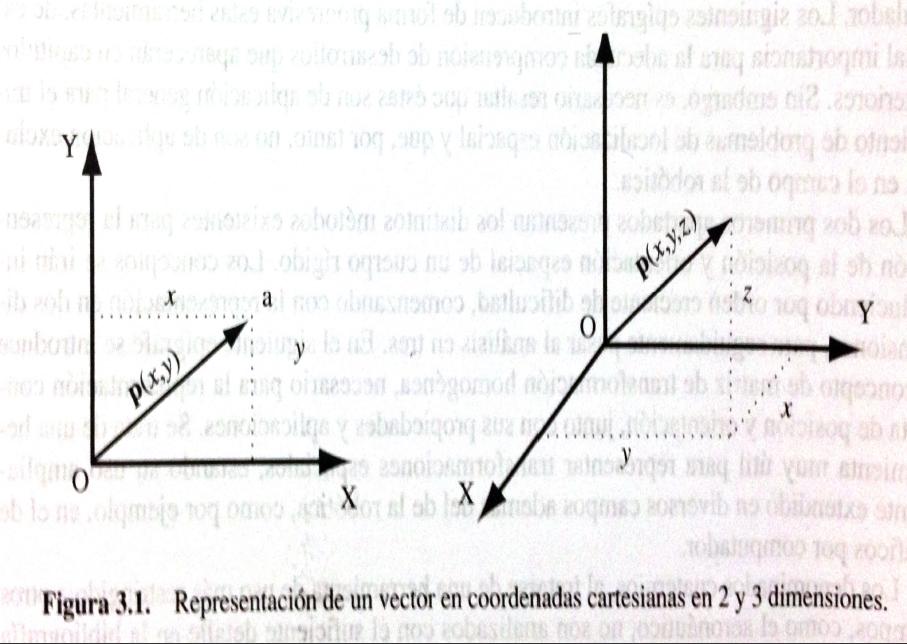 Representación de la posición Coordenadas cartesianas Coordenadas cartesianas en 2 y 3