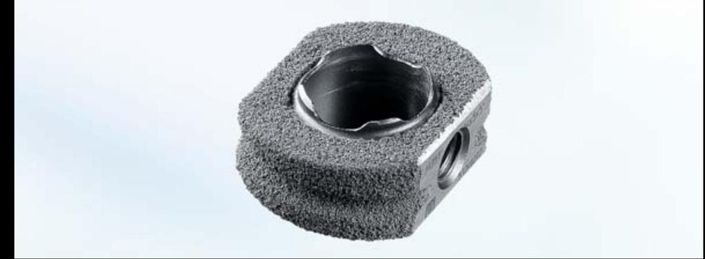 CeSpace Titanium Características del implante CeSpace Titanium C El recubrimiento de Plasmapore permite una osteointegración rápida y segura Alta estabilidad primaria gracias a su superficie rugosa