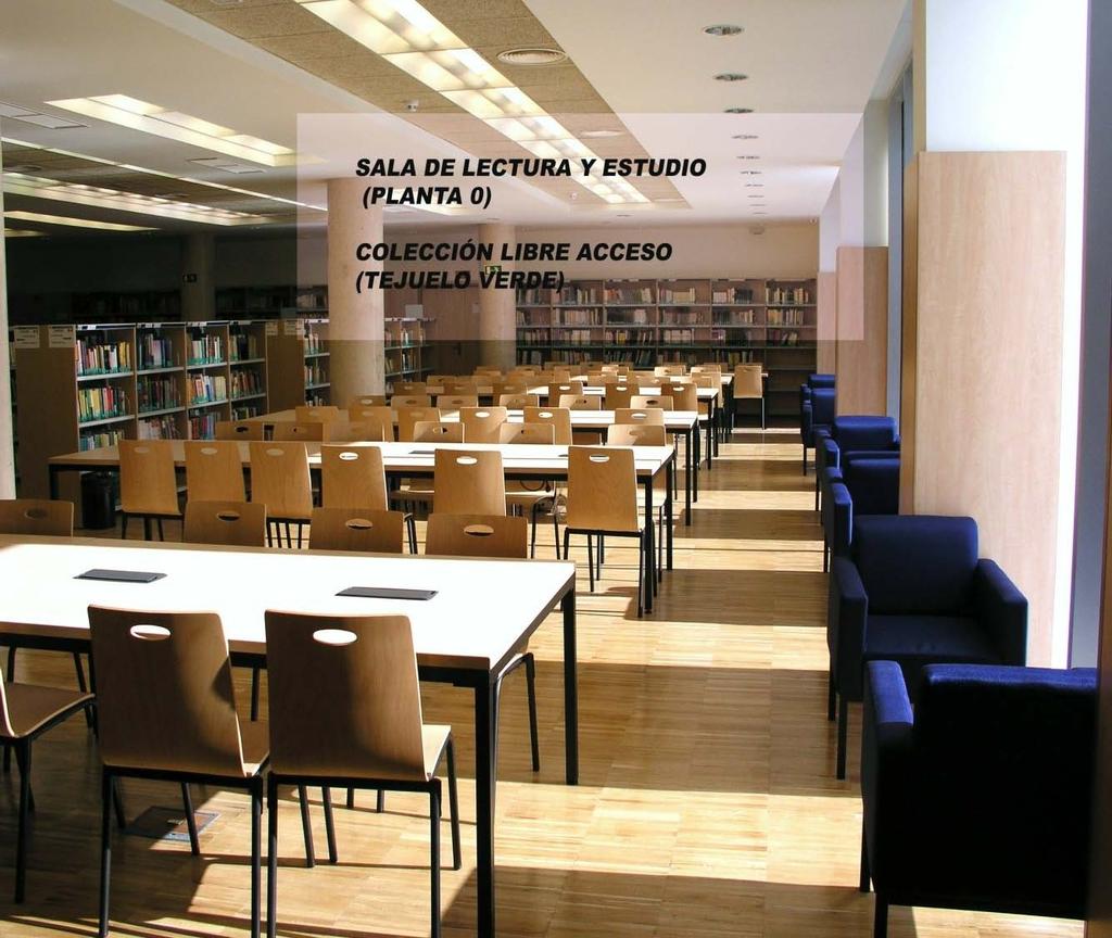Nuestros espacios : Área de lectura e investigación Planta 0 Lectura y estudio 144 puestos