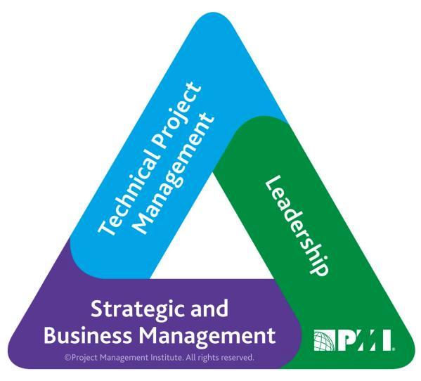 Conocer las mejores prácticas promovidas por el Project Management Institute (PMI) en áreas no específicamente técnicas de la gerencia de proyectos.