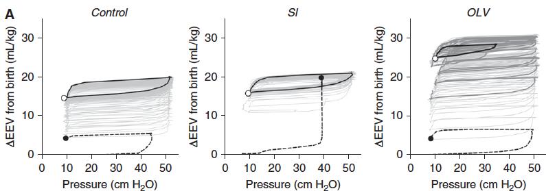 Mejor dinámica respiratoria (>Cdin, < PIP y delta P) (p<0.05) Mejor oxigenación (p<0.