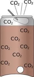 en dióxido de carbono en el aire (el mismo