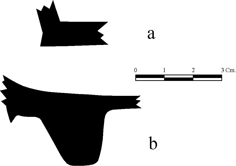 4. Reborde Basal (ver Fig. 21-e; 63).