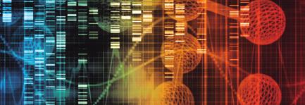 genes  Detección de grandes deleciones e inserciones Exoma clínico completo