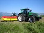 Componente Agrícola Los apoyos se dirigen a impulsar la producción, productividad y competitividad agrícola, a