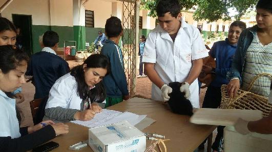 Vacunación y Esterilización de caninos en la ciudad de Campo 9.