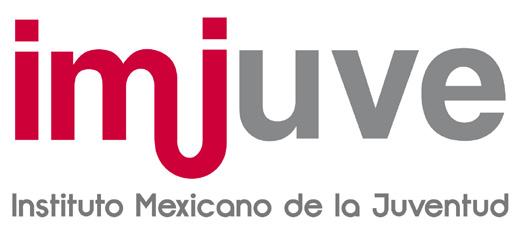 Rumbo Joven: Emprendimiento Social y Emprendimiento en Situaciones de Desastre Convocan: Instituto Mexicano de la Juventud. Subdirección de Asuntos Internacionales.