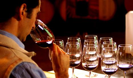 IN SITU Vineyard Selection D.O Aconcagua -Chardonnay -Sauvignon Blanc -Merlot -Carménère $4.