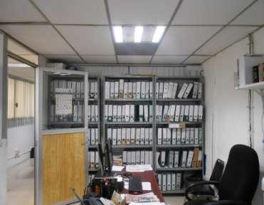 Organización de los Archivos de